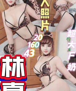 桃園定點茶-林真