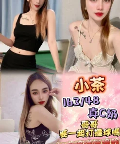 新北定點茶-小茶