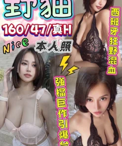 台中定點茶-野貓