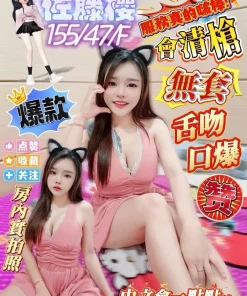 屏東定點茶-佐藤櫻