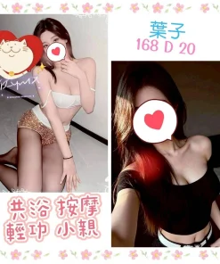 台北定點茶-葉子