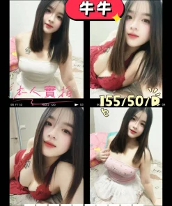 屏東定點茶,外送茶-牛牛