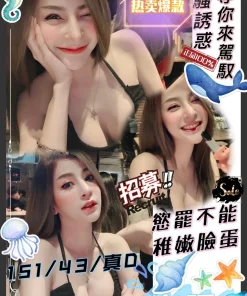 新竹定點茶-海豚