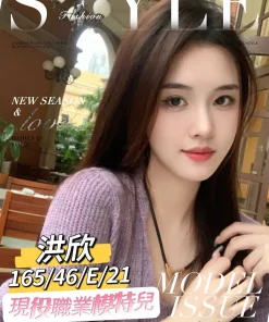 台南外送茶-洪欣