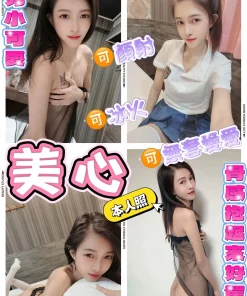 新北定點茶-美心