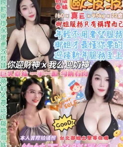 台北定點茶-歐波波