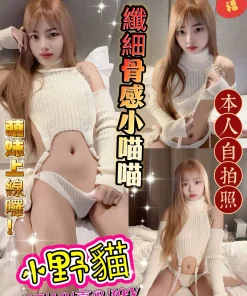 新北定點茶-小野貓