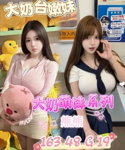 台南定點茶-熊熊