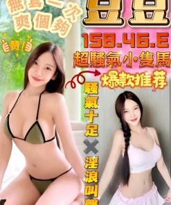 台中定點茶-豆豆