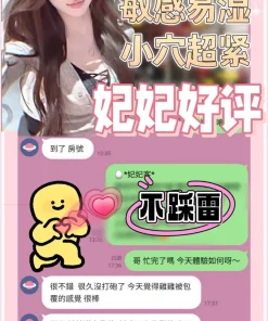 台南定點茶-妃妃