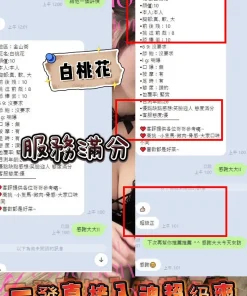 新竹定點茶-白桃花　