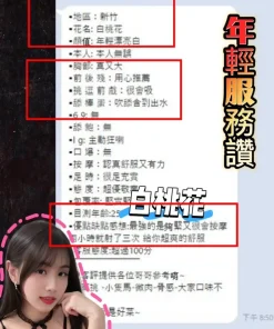 新竹定點茶-白桃花　