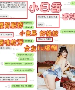 台中定點茶-小日香