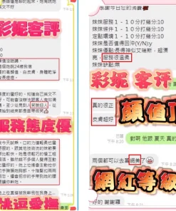 新竹定點茶-彩妮