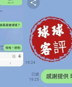 台中定點茶-球球