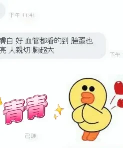 台中定點茶-青青