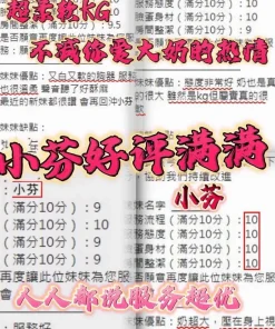 新竹定點茶-小芬