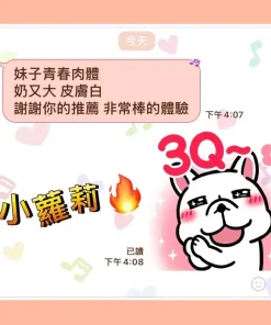 高雄定點茶-小蘿莉