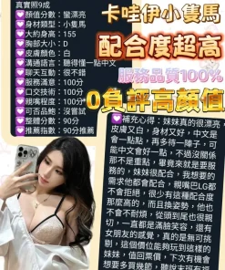 台南定點茶-小嘶魅