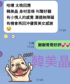 台南定點茶-韓美晶