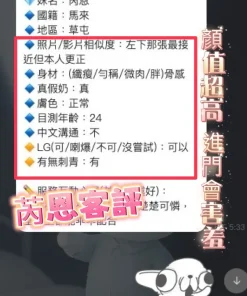 南投定點茶-芮恩