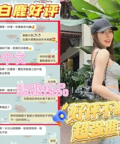 台南定點茶-白鹿