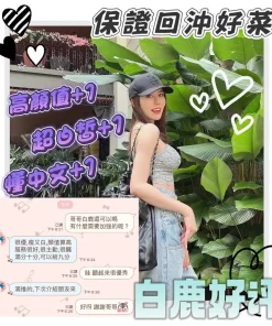 台南定點茶-白鹿
