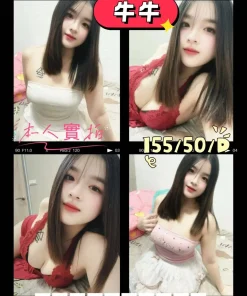 屏東定點茶,外送茶-牛牛