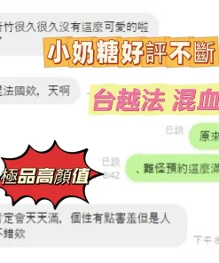 新竹定點茶-小奶糖