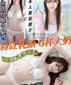 嘉義定點茶-野野可怜