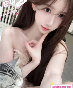 台中定點茶-安琪