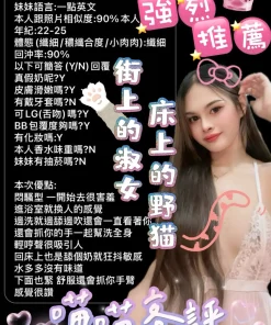 台南定點茶-喵喵