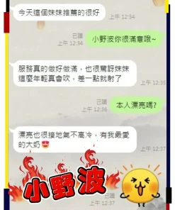 台中定點茶-小野波