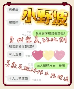 台中定點茶-小野波