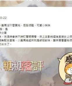 台南定點茶-糖糖