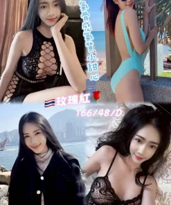 新北定點茶-玫瑰紅