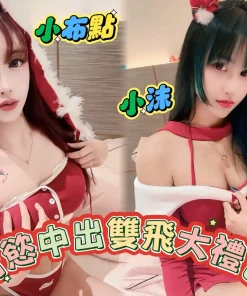 高雄定點茶-小布點