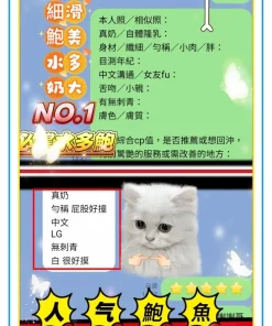 高雄定點茶-申敏兒