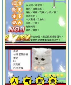 高雄定點茶-申敏兒