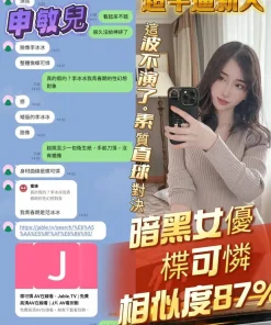 高雄定點茶-申敏兒