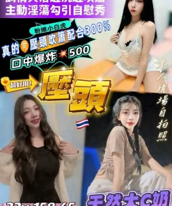 桃園定點茶-壓頭