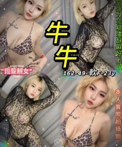 台北定點茶-牛牛