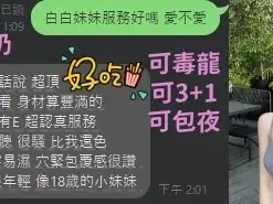 台中定點茶-白白