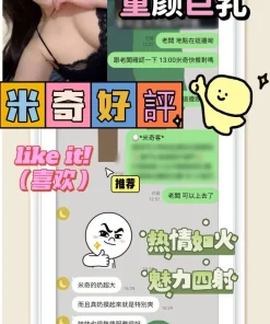 台南定點茶-米奇