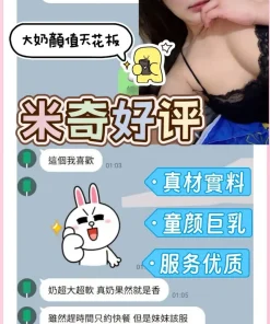 台南定點茶-米奇