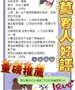 台南定點茶-提莫