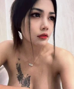 台北定點茶-蝴蝶