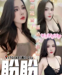 台中定點茶-盼盼