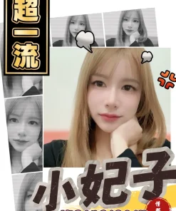 台南定點茶-小妃子