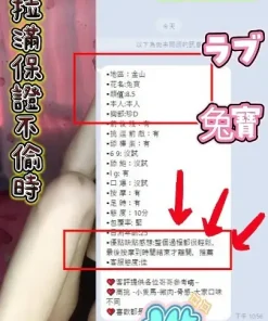 台中定點茶-兔寶　